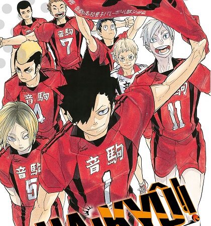 COM HAIKYU!! 34/45
