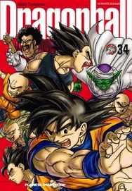 COM DRAGON BALL 34/34