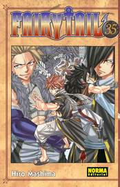 COM FAIRY TAIL 35