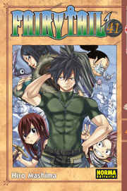 COM FAIRY TAIL 41