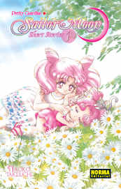 COM SAILOR MOON SHORTS STORIES 01
