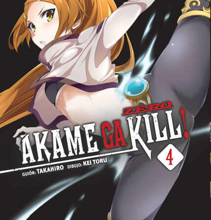 COM AKAME GA KILL! ZERO 04
