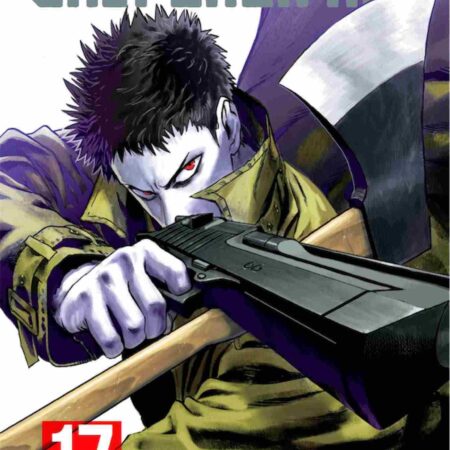 COM ONE PUNCH-MAN 17