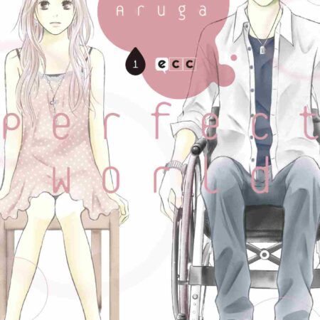 COM PERFECT WORLD 01