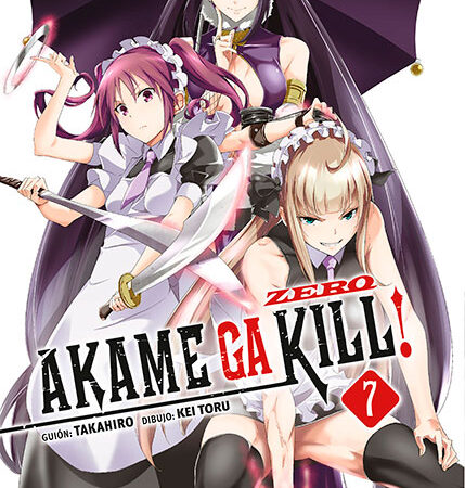 COM AKAME GA KILL! ZERO 07