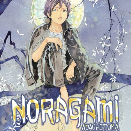 COM NORAGAMI 19