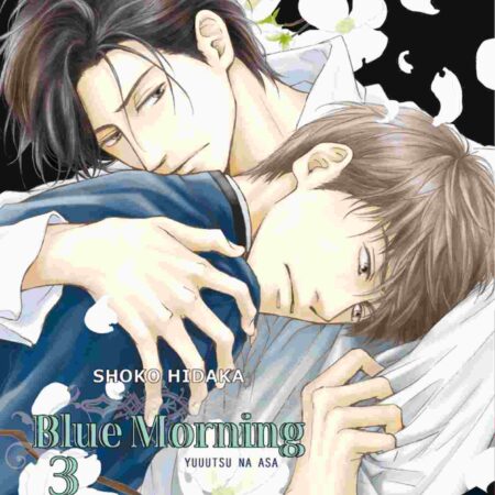 COM BLUE MORNING 03 (continuación no pedida)