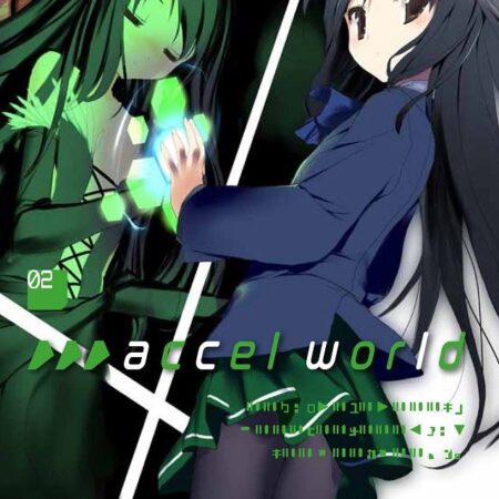 COM ACCEL WORLD (NOVELA) 02/02