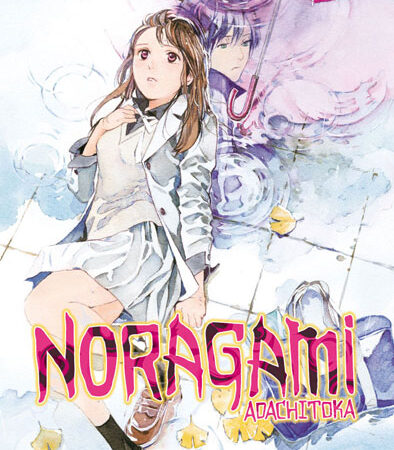 COM NORAGAMI 20