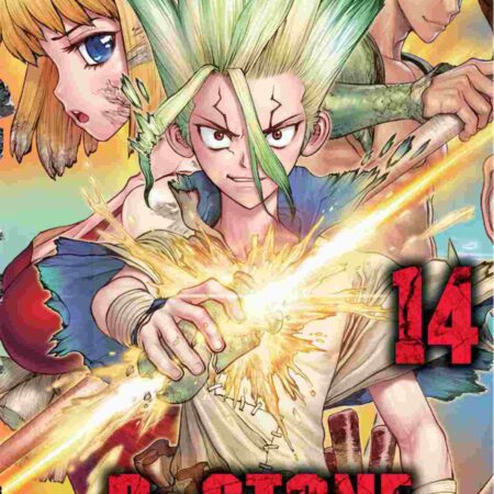 COM DR. STONE 14