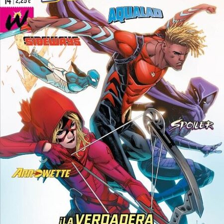 COM YOUNG JUSTICE 14