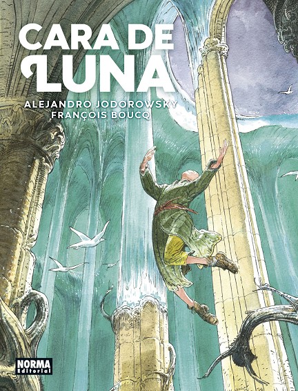 03C1518A-DA77-4BA4-9CC6-5FBDE5472BF4-15004728.jpg COM CARA DE LUNA INTEGRAL