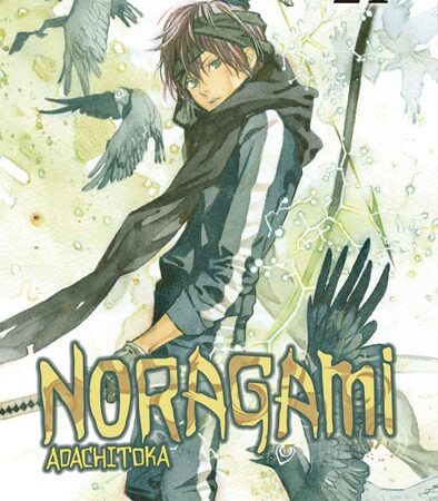 COM NORAGAMI 21
