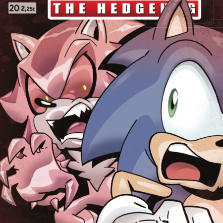 COM SONIC THE HEDGEHOG 20