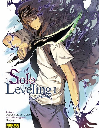 COM SOLO LEVELING 01