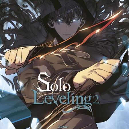 COM SOLO LEVELING 02