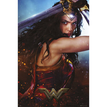 MER POSTER: WONDER WOMAN SWORD-DCORG