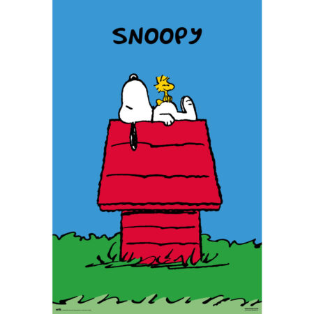 MER POSTER: SNOOPY DOGHOUSE