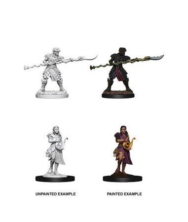 ROL D&D NOLZURS MERVELOUS MINIATURES: YUAN-TI PUREBLOODS