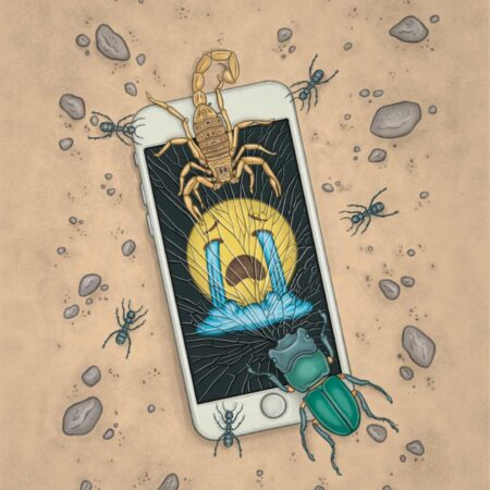 COM LOS AÑOS DE INTERNET