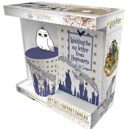 MER HARRY POTTER: PACK DE REGALO HARRY POTTER, TAZA + LIBRETA Y LLAVERO