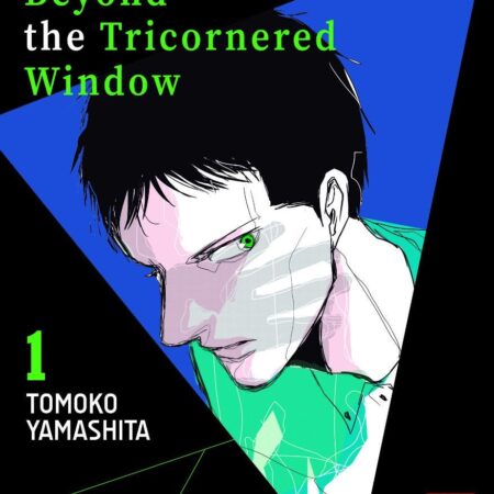 COM THE NIGHT BEYOND THE TRICORNERED WINDOW 01