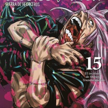 COM JUJUTSU KAISEN 15