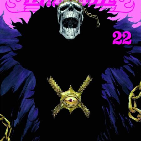 COM BLEACH MAXIMUM 22