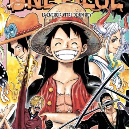 COM ONE PIECE 100