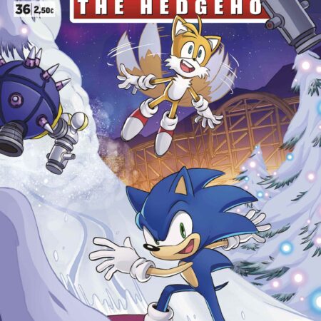 COM SONIC THE HEDGEHOG 36