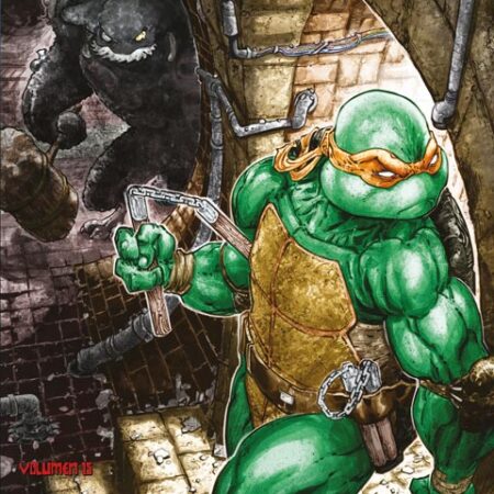 COM LAS TORTUGAS NINJA 15