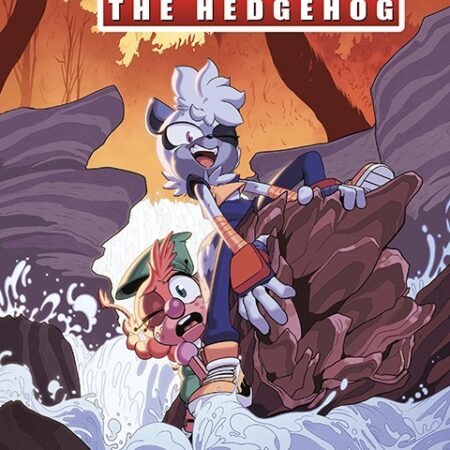 COM SONIC THE HEDGEHOG 47