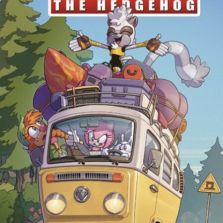 COM SONIC THE HEDGEHOG 45