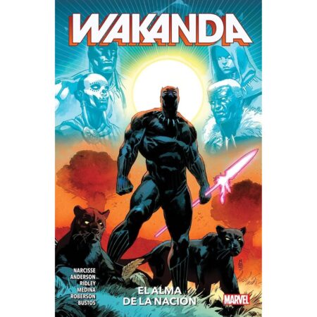 COM WAKANDA, EL ALMA DE LA NACION