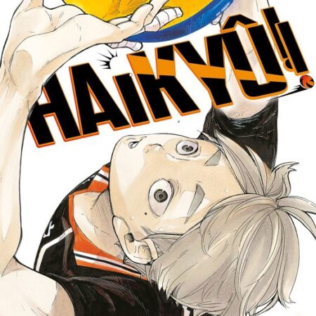 COM HAIKYU!! 27/45