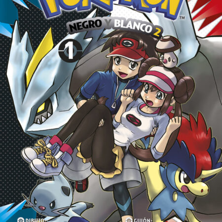 COM POKEMON 31. NEGRO Y BLANCO 2 01