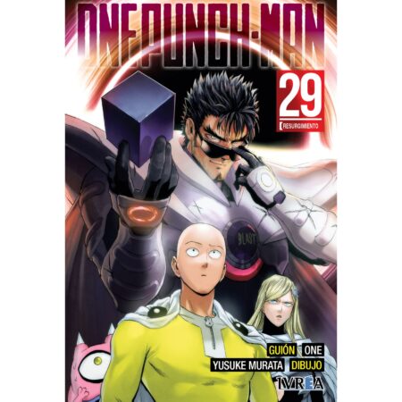 COM ONE PUNCH-MAN 29