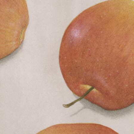 COM TOKIO DIA A DIA 02