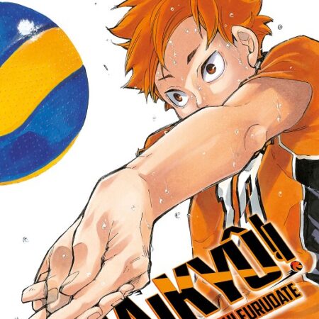 COM HAIKYU!! 33/45