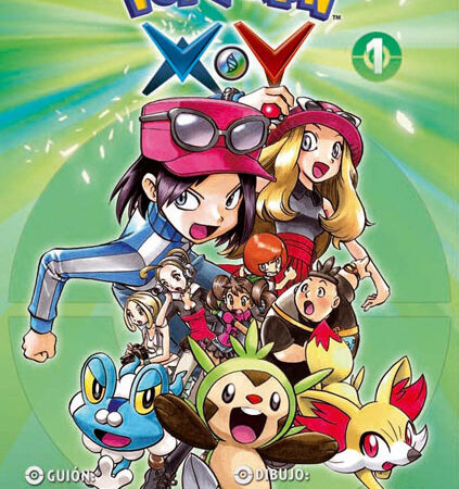 COM POKEMON X-Y 01