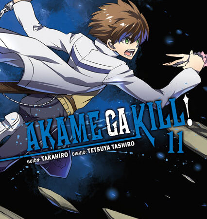 COM AKAME GA KILL! 11