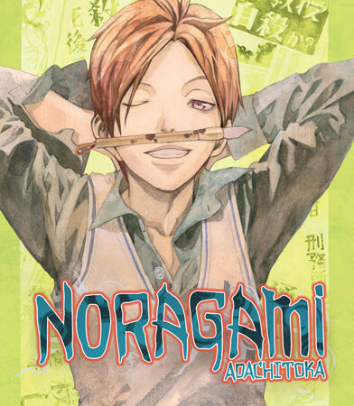 COM NORAGAMI 11