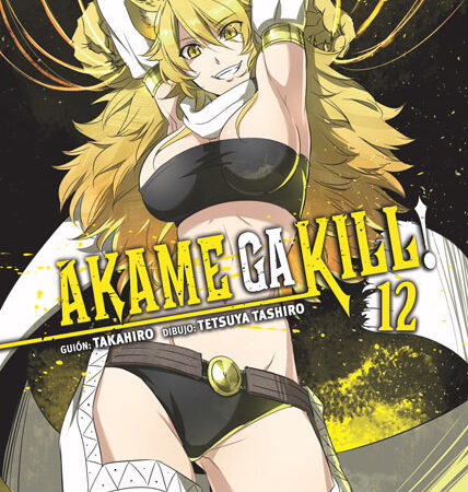 COM AKAME GA KILL! 12