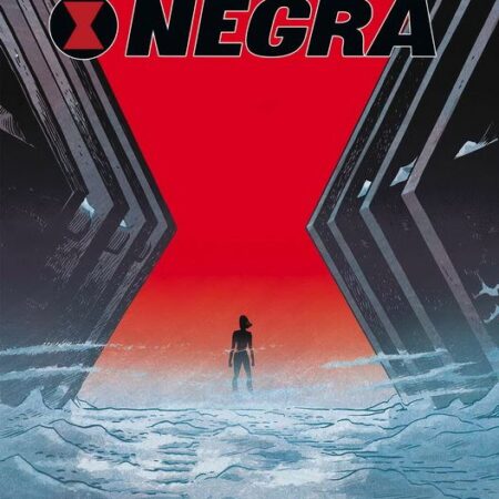 COM VIUDA NEGRA 02. NO MAS SECRETOS