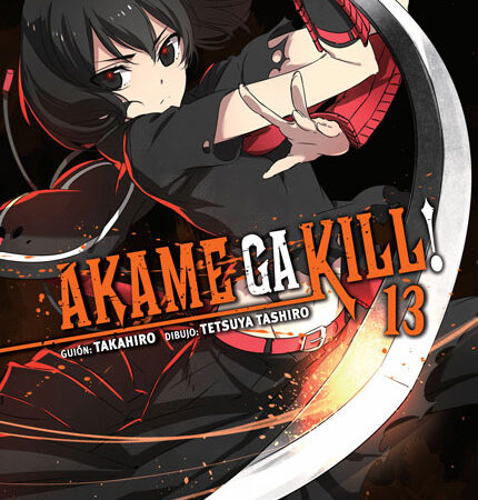 COM AKAME GA KILL! 13