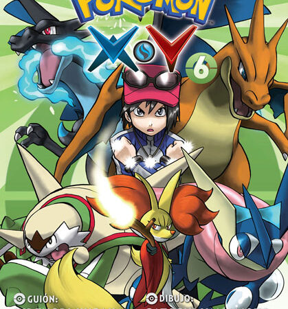 COM POKEMON X-Y 06