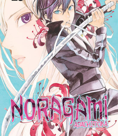 COM NORAGAMI 15