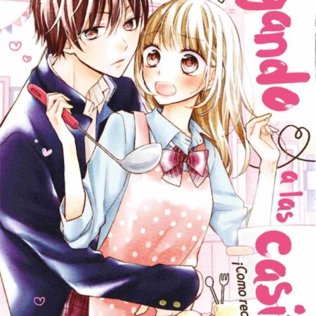 COM JUGANDO A LAS CASITAS