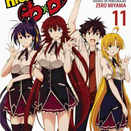 COM HIGHSCHOOL DXD 11