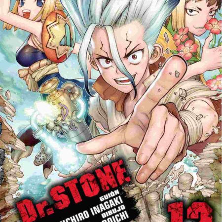 COM DR. STONE 12